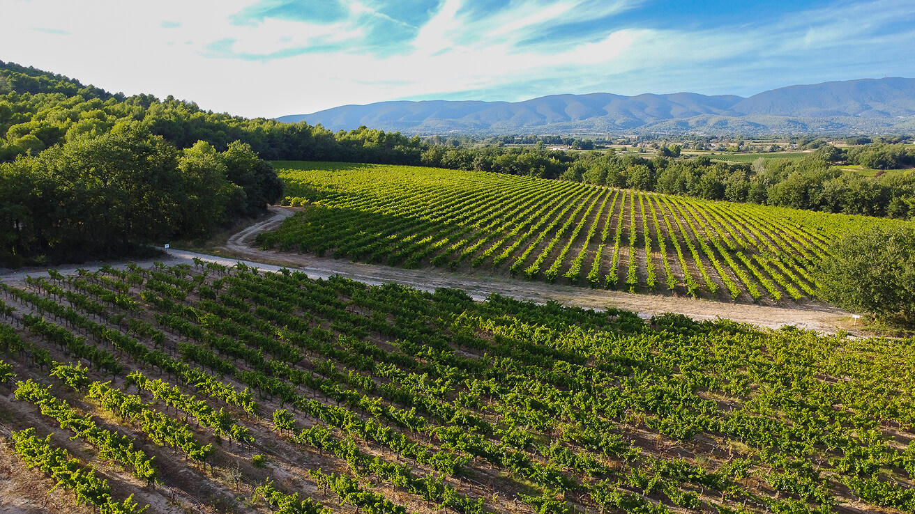 L'exploitation agricole