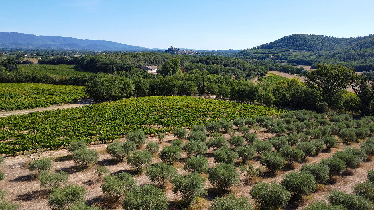 L'exploitation agricole